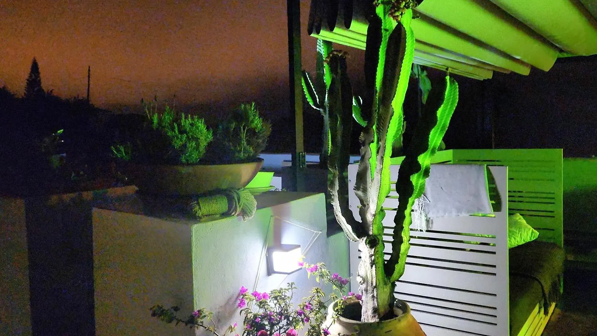 Casa Salvia Bed & Breakfast - Icod - Tenerife Icod De Los Vinos Ισπανία