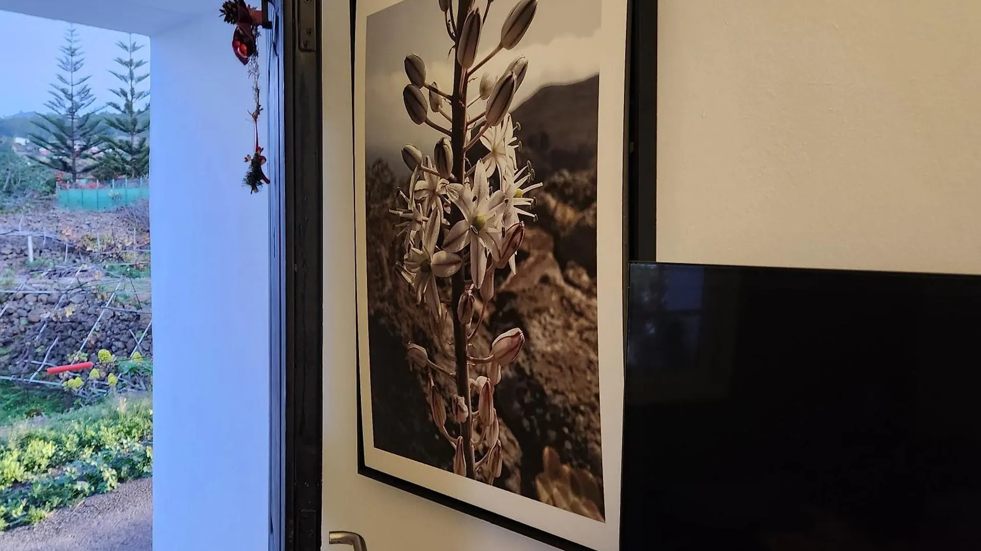 Casa Salvia Bed & Breakfast - Icod - Tenerife Icod De Los Vinos