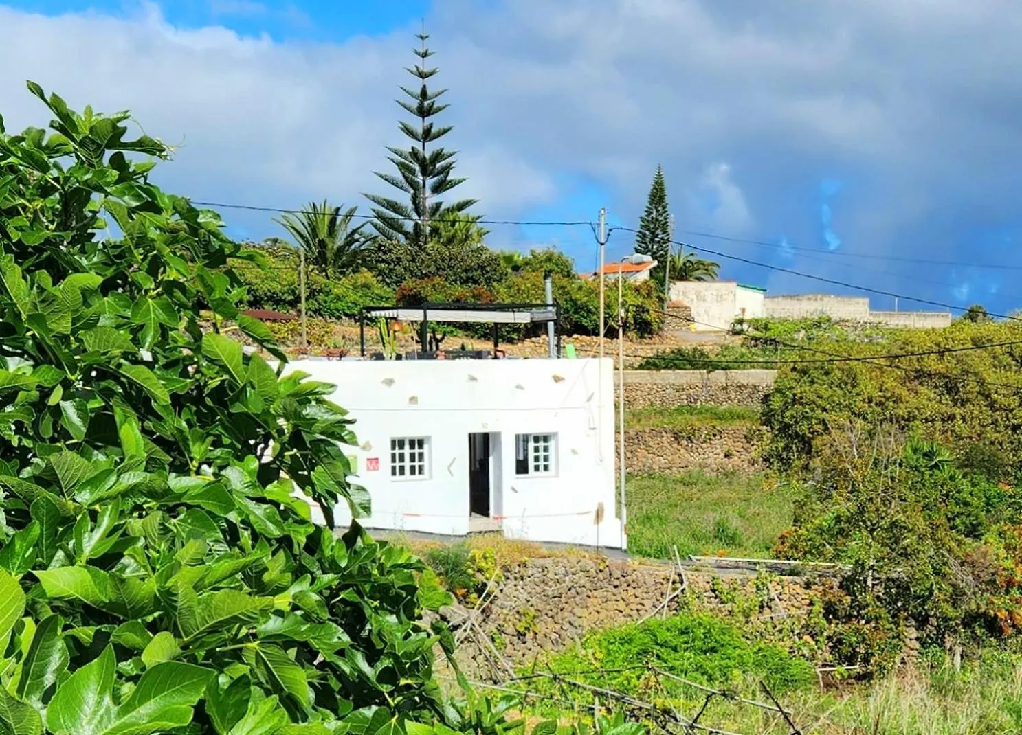 Casa Salvia Bed & Breakfast - Icod - Tenerife Icod De Los Vinos